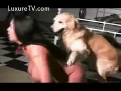 Horny teen gets wild and sucks and screws her dog for pleasure